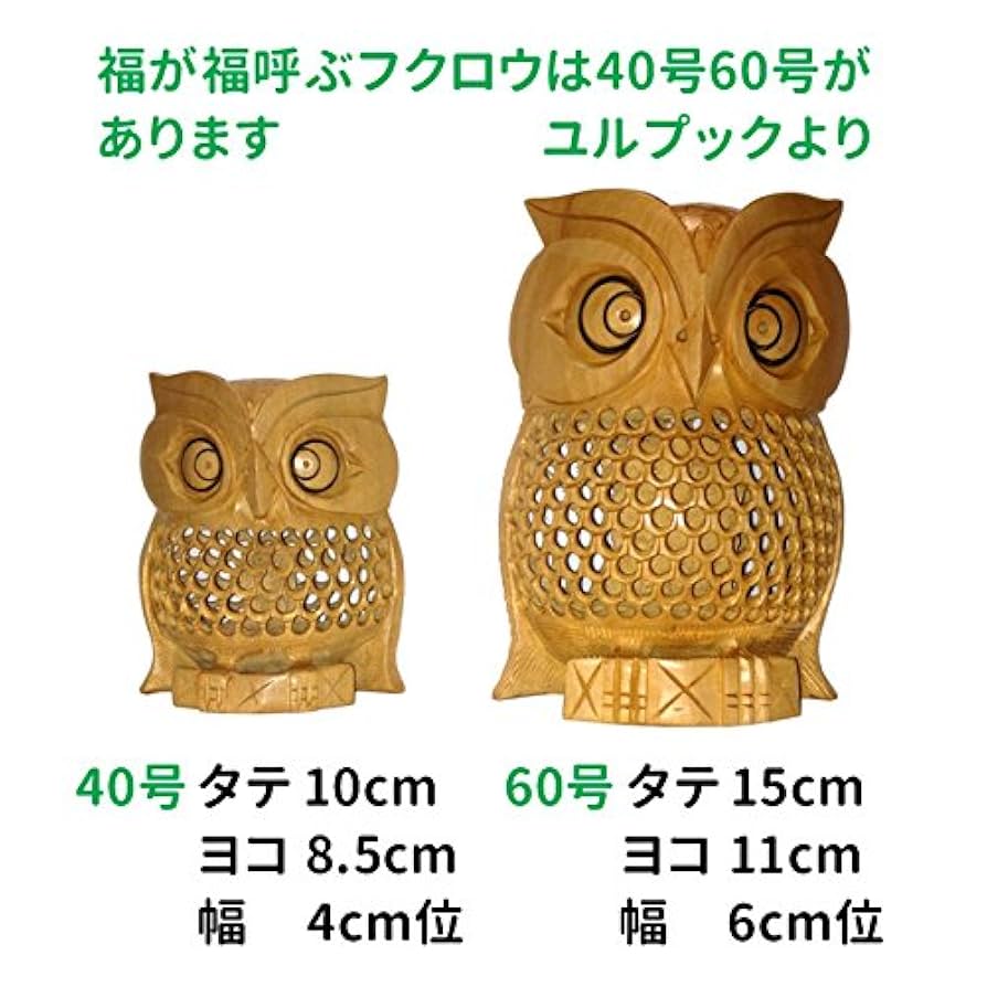 51p-+WaM-TL._UF894,1000_QL80_.jpg